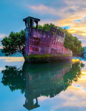 Homebush Bay - Australia